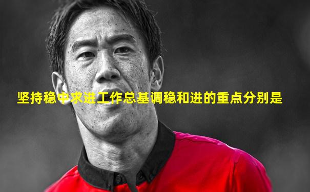 坚持稳中求进工作总基调稳和进的重点分别是