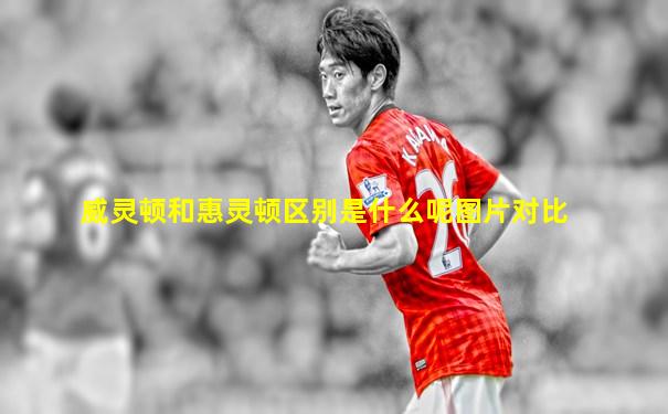 威灵顿和惠灵顿区别是什么呢图片对比