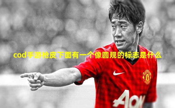 cod手游枪皮下面有一个像圆规的标志是什么