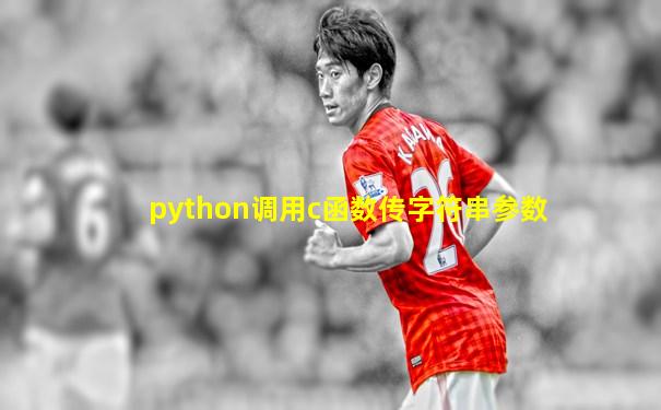 python调用c函数传字符串参数