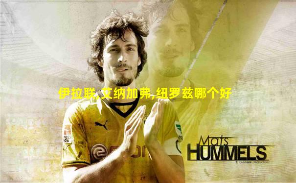 伊拉联,艾纳加弗,纽罗兹哪个好