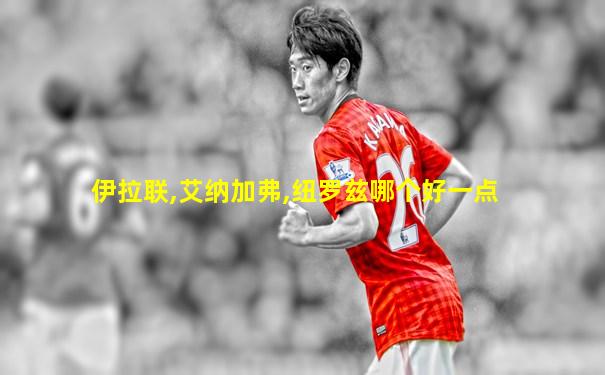 伊拉联,艾纳加弗,纽罗兹哪个好一点