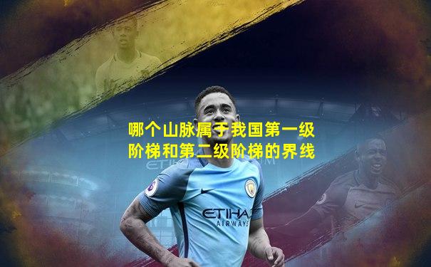 哪个山脉属于我国第一级阶梯和第二级阶梯的界线