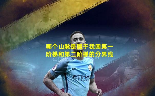 哪个山脉是属于我国第一阶梯和第二阶梯的分界线