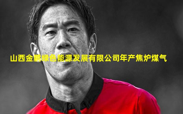 山西金鹏绿色能源发展有限公司年产焦炉煤气
