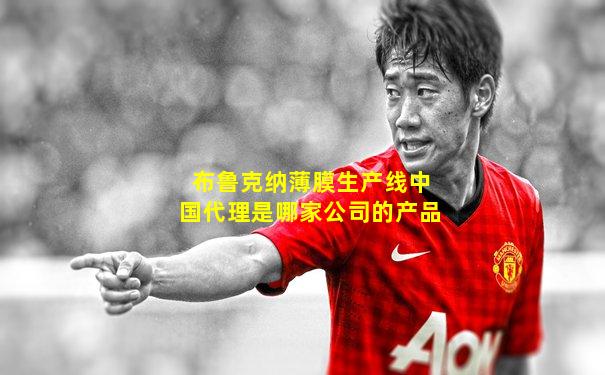 布鲁克纳薄膜生产线中国代理是哪家公司的产品