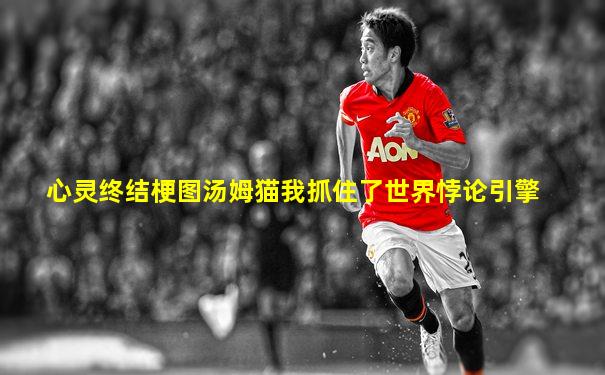 心灵终结梗图汤姆猫我抓住了世界悖论引擎