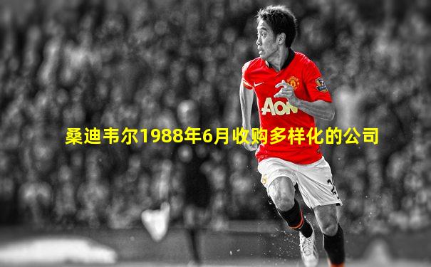 桑迪韦尔1988年6月收购多样化的公司