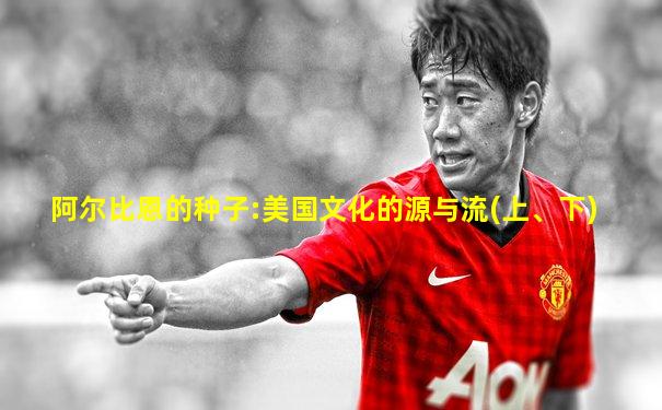 阿尔比恩的种子:美国文化的源与流(上、下)